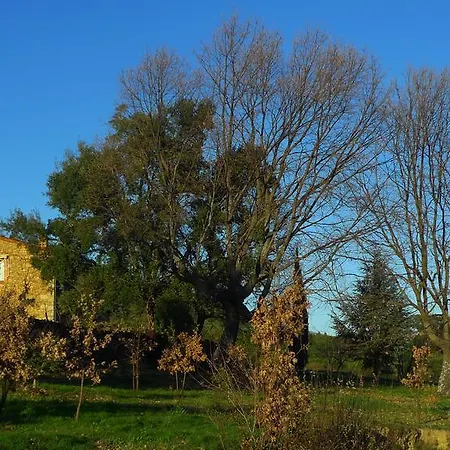 Otel Casa Rural Fuentes De Agata