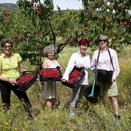 Otel Casa Rural Fuentes De Agata