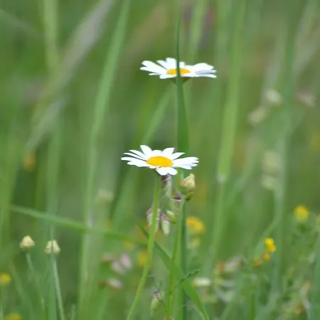 Casa Rural Fuentes De Agata *