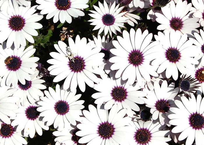 Casa Rural Fuentes De Agata