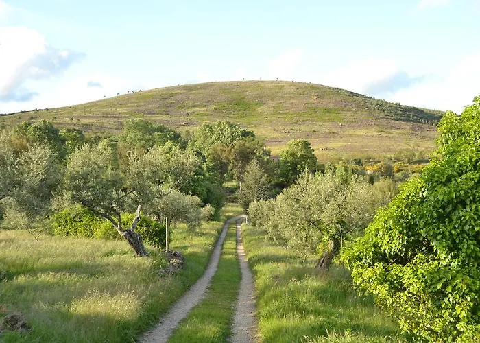Casa Rural Fuentes De Agata Hotell Acebo